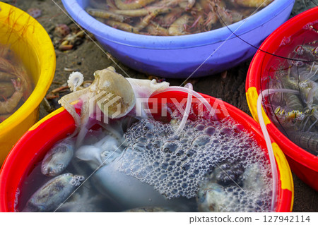 Fresh Catch at Mui Ne seafood Market, Octopus,Cuttlefish and Shrimps in Colorful Bins by the Seaside 127942114