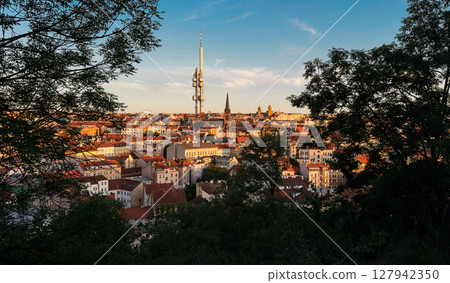 Cityscape with red rooftops 127942350