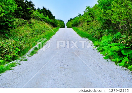 白色之路（北海道稚內市） 127942355