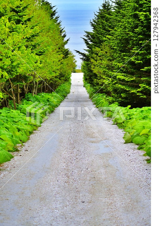 White Road (Wakkanai, Hokkaido) 127942368