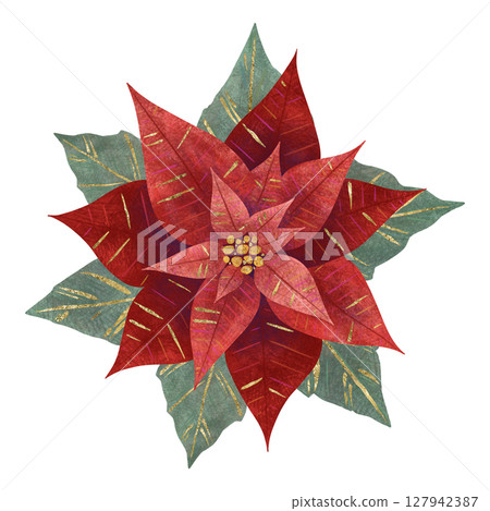 Christmas flower red poinsettia with green leaves, handmade digital illustration on a white background. An element for the design Christmas flower red poinsettia with green leaves, handmade digital illustration on a white background. An element for the design 127942387