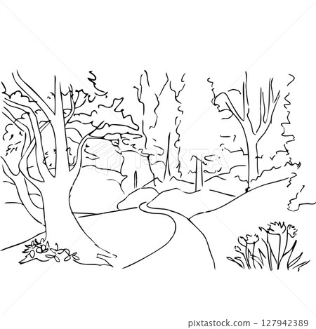 forest with hills forest with hills 127942389