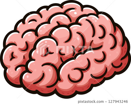 大腦圖 127943246