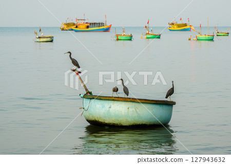 Herons Birds Resting on Round Basket Boat in Calm Waters off the Coast of Mui Ne, Vietnam 127943632