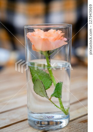 Single peach rose in a glass of water on wooden table Single peach rose in a glass of water on wooden table 127943669