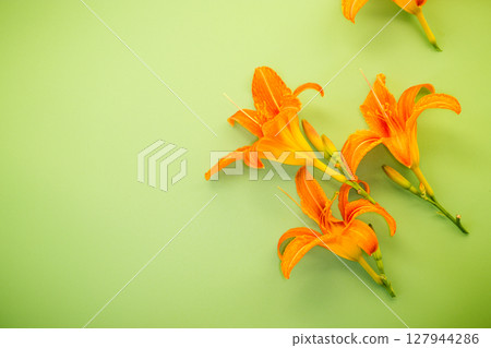 Top view of bright lilies on green surface 127944286