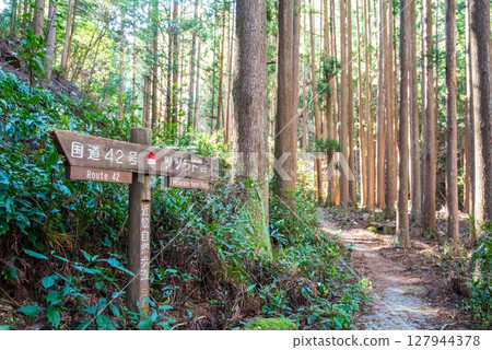 World Heritage Kumano Kodo Iseji "Tsuzurato Pass" Pass road scenery from JR Umegatani Station 127944378