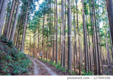 World Heritage Kumano Kodo Iseji "Tsuzurato Pass" Pass road scenery from JR Umegatani Station 127944386