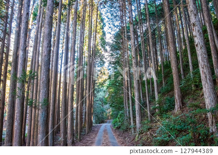 World Heritage Kumano Kodo Iseji "Tsuzurato Pass" Pass road scenery from JR Umegatani Station World Heritage Kumano Kodo Iseji "Tsuzurato Pass" Pass road scenery from JR Umegatani Station 127944389