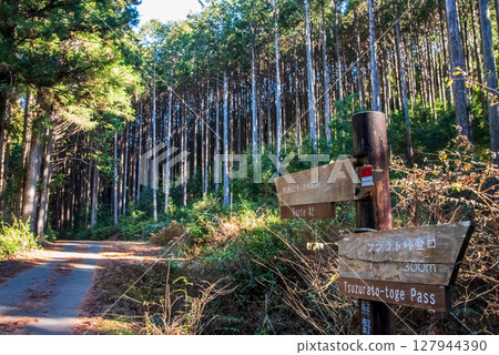 World Heritage Kumano Kodo Iseji "Tsuzurato Pass" Pass road scenery from JR Umegatani Station 127944390