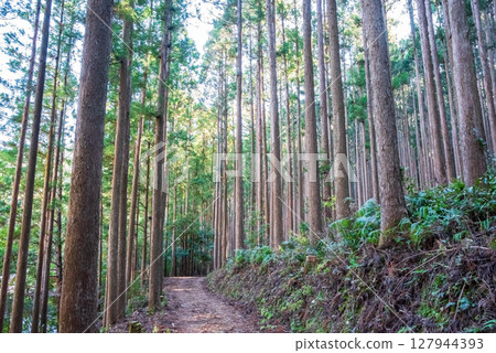 World Heritage Kumano Kodo Iseji "Tsuzurato Pass" Pass road scenery from JR Umegatani Station 127944393