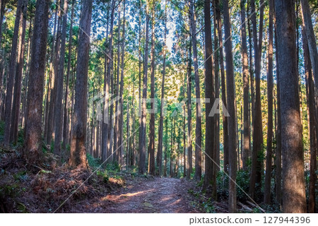 世界遺產熊野古道伊勢路「津浦戶嶺」 JR梅谷站側山嶺 127944396