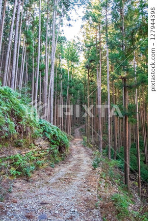 World Heritage Kumano Kodo Iseji "Tsuzurato Pass" Pass road scenery from JR Umegatani Station World Heritage Kumano Kodo Iseji "Tsuzurato Pass" Pass road scenery from JR Umegatani Station 127944398
