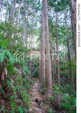 從JR梅谷站欣賞世界遺產熊野古道伊勢路「郷戶峠」峠道風景 從JR梅谷站欣賞世界遺產熊野古道伊勢路「郷戶峠」峠道風景 127944566