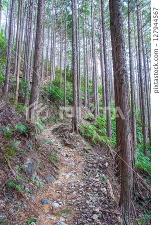 World Heritage Kumano Kodo Iseji "Tsuzurato Pass" Pass road scenery from JR Umegatani Station 127944567