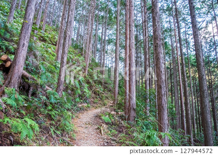 World Heritage Kumano Kodo Iseji "Tsuzurato Pass" Pass road scenery from JR Umegatani Station 127944572