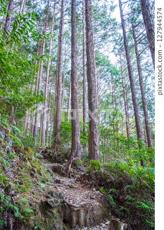 World Heritage Kumano Kodo Iseji "Tsuzurato Pass" Pass road scenery from JR Umegatani Station 127944574