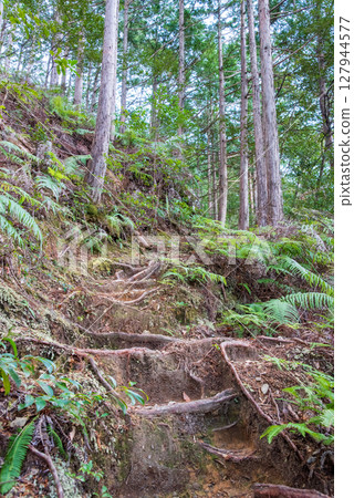 World Heritage Kumano Kodo Iseji "Tsuzurato Pass" Pass road scenery from JR Umegatani Station 127944577