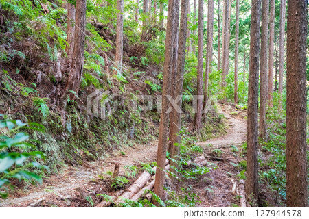 World Heritage Kumano Kodo Iseji "Tsuzurato Pass" Pass road scenery from JR Umegatani Station 127944578