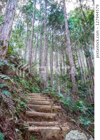 World Heritage Kumano Kodo Iseji "Tsuzurato Pass" Pass road scenery from JR Umegatani Station 127944579