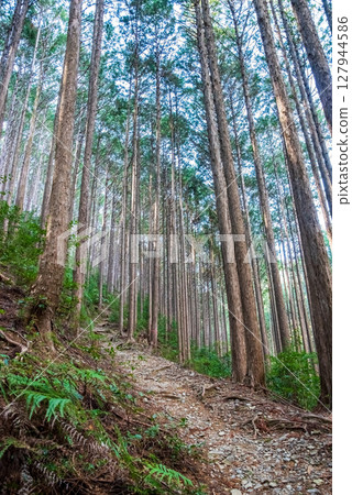 World Heritage Kumano Kodo Iseji "Tsuzurato Pass" Pass road scenery from JR Umegatani Station 127944586