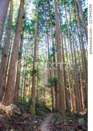 從JR梅谷站欣賞世界遺產熊野古道伊勢路「郷戶峠」峠道風景 127944589