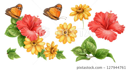 Set with yellow sunflower and monarch butterfly in realistic watercolor style. Red hibiscus and green botanical elements form vivid tropical arrangement. Perfect for summer design and floral art use. 127944761