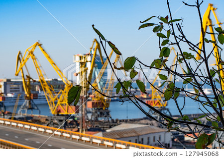 Autumn fading leaves on tree branches in front of blurred background of industrial port landscape 127945068