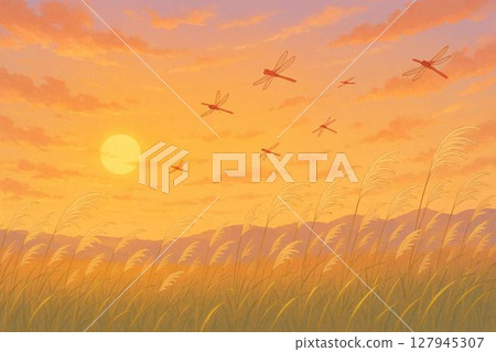 日落，紅蜻蜓，紫芒田 127945307
