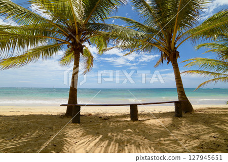 A beach with a bench among palm trees in Dominican Republic, Punta Cana 127945651