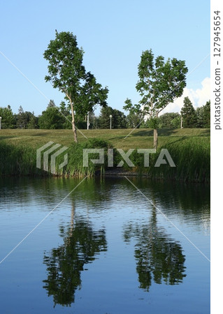 reflections of trees in water in a pond 127945654