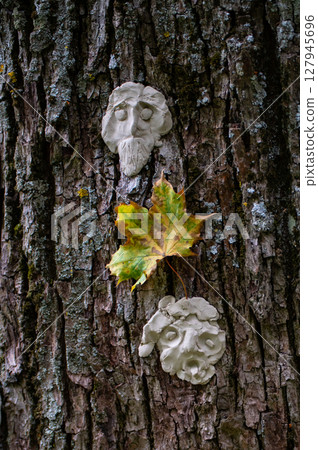 Monster face on tree with sharp thorns and warts. Tree spirit and fantasy concept. Pagan spirits, rituals 127945696