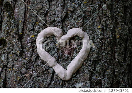 Heart of Tree. Deforestation of forest trees to clear way for building and infrastructure or to export timber and wood production. 127945701