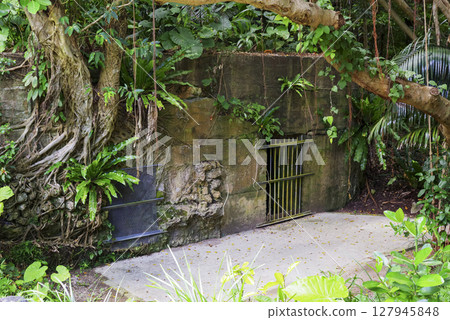 Okinawa Battlefield: Scenery of the 32nd Army Headquarters Cave Okinawa Battlefield: Scenery of the 32nd Army Headquarters Cave 127945848