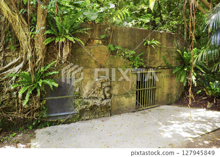 Okinawa Battlefield: Scenery of the 32nd Army Headquarters Cave 127945849