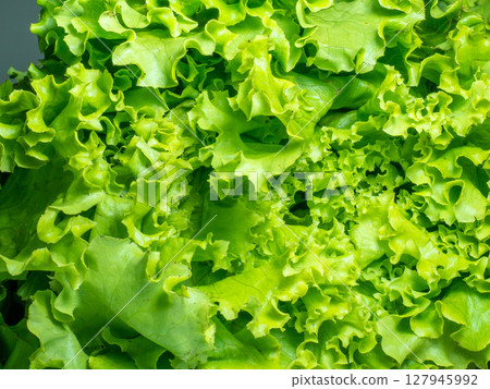 Bunch of lettuce on a wooden tray. Salad concept. Vitamin of natural origin. Leaves up close. Grass background for food. Useful ingredient. 127945992
