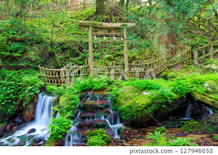 福井縣三方上中郡初夏的瓜破瀑布 福井縣三方上中郡初夏的瓜破瀑布 127946038