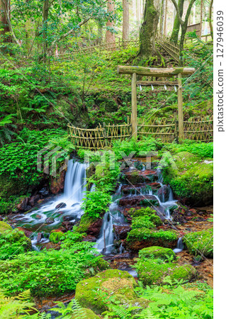 Uriwari Falls in early summer, Mikata-Kaminaka District, Fukui Prefecture Uriwari Falls in early summer, Mikata-Kaminaka District, Fukui Prefecture 127946039