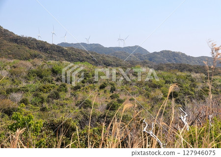 Izu Peninsula Okuishirou Yusuge Park 127946075
