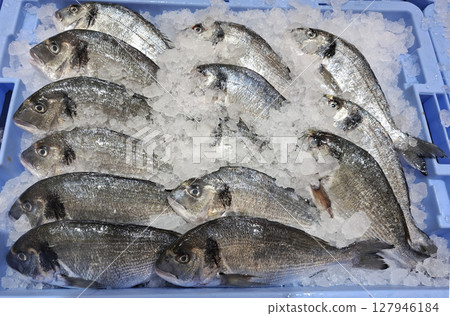 A variety of freshly chilled dorado is neatly arranged on ice at a market in Spain. This display highlights the local seafood selection available for customers looking to purchase. A variety of freshly chilled dorado is neatly arranged on ice at a market in Spain. This display highlights the local seafood selection available for customers looking to purchase. 127946184