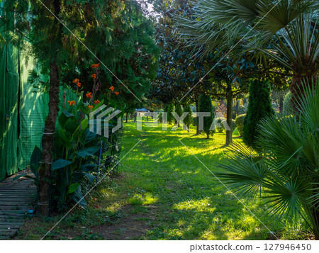 Landing in the park at the resort. Beautiful mowed lawn in the park. Cozy place to relax in the city. Old boulevard. Landing in the park at the resort. Beautiful mowed lawn in the park. Cozy place to relax in the city. Old boulevard. 127946450