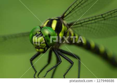 鬼山特寫 127946686