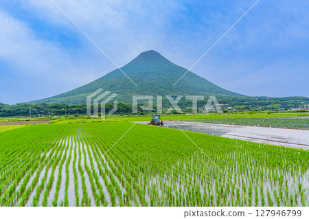 （鹿兒島縣）從開始插秧的稻田望去，可以看到開聞山 127946799