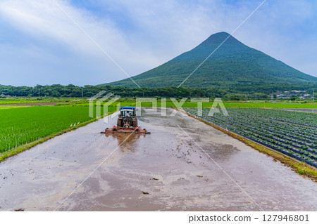 (Kagoshima Prefecture) Mt. Kaimon seen across the rice paddies where rice planting has begun (Kagoshima Prefecture) Mt. Kaimon seen across the rice paddies where rice planting has begun 127946801