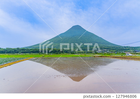 （鹿兒島縣）從開始插秧的稻田望去，可以看到開聞山 127946806