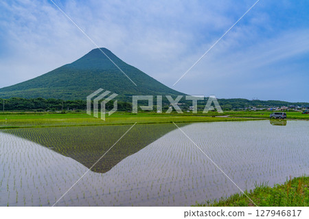 （鹿兒島縣）從開始插秧的稻田望去，可以看到開聞山 127946817