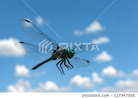 Blue sky and Shikaratombo 127947088