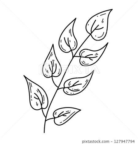 Hand drawn branch with leaves 127947794