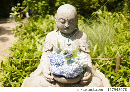 Landscape of traditional Japanese temple and blooming hydrangea 127948078