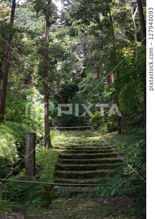 日本传统寺院与盛开的绣球花风景 日本传统寺院与盛开的绣球花风景 127948093